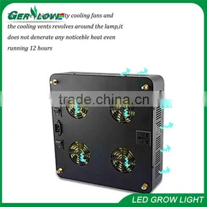 Full Spectrum Cob Led Plant Growth Light 300w 400w 800w Battery Operated Led Plant Indoor Light thumbnail-5