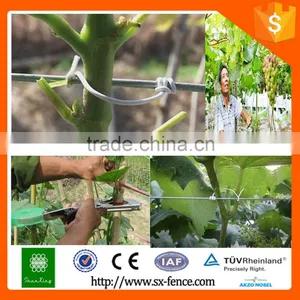 to Supply Supermarket Retailing Galvanized Pvc Coated Small Coil Tension Wire thumbnail-6