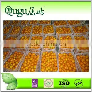 2014 New Crop Mandarin Orange Grower Wholesale thumbnail-1