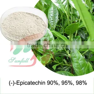 High Purity Epicatechin 90% 95% thumbnail-1