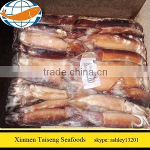 Seafrozen Illex Squid 100 150 200 300 400 600g thumbnail-1