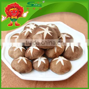 Best Fresh Matsutake Mushroom for Sale Frozen Mushrooms thumbnail-2
