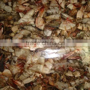 Sun Dried Shrimp Shell thumbnail-5