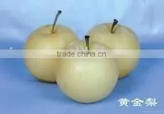 Huangguan Pear/ Crown Pear / Golden Pear thumbnail-1