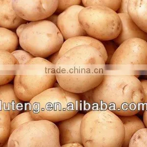 Fresh Potato Market Price 2013 thumbnail-1