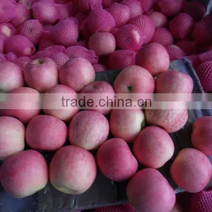 SUPER RED APPLE CROP 201 thumbnail-1