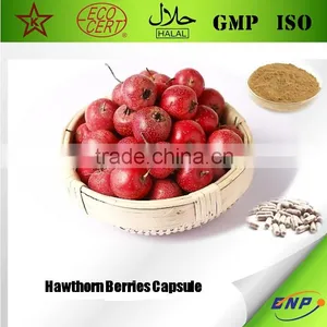 Sell High Quality Hawthorn Berries Capsule Flavonoids thumbnail-1