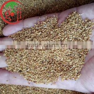 Factory Supply High Quality Goji Berry Seeds for Plants Tree thumbnail-1
