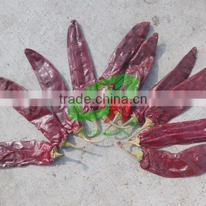 Sweet Pepper thumbnail-2