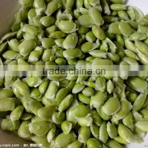 DPL-300 CE Qualified Bean Sheller Peeler Peeling Machine thumbnail-3