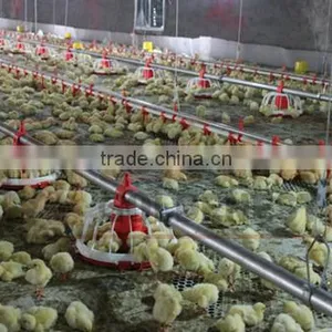 Goldenest Manufacturer Poultry Feeding Line Automatic Equipment Poultry for Sale JCZY-OP01 thumbnail-3