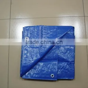 PE Material Blue Plastic Sheet thumbnail-2