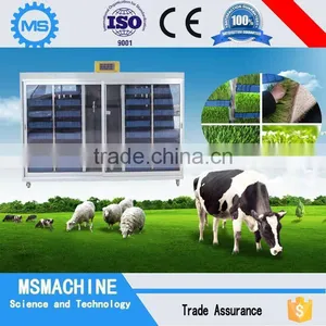 Feed Machine Type Barley for Cattle Feed 0086-18637440378 thumbnail-1