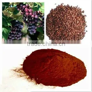 High Potency Resveratrol Material in Bulk thumbnail-1