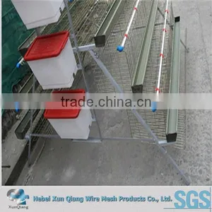 Automatic Broiler Chicken Cage thumbnail-3