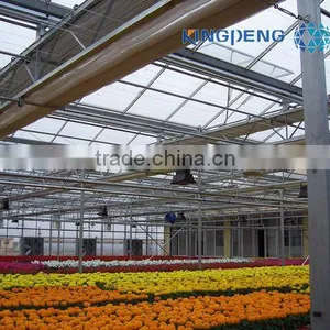 Venlo Roof Agricultural Polycarbonate Sheet Greenhouse thumbnail-5