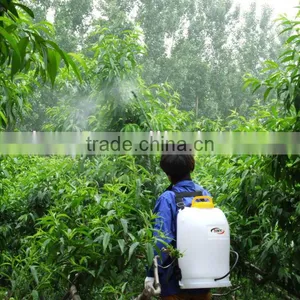 Agriculture Portable Energy-saving Electric Sprayer DS-12(15,18) thumbnail-1