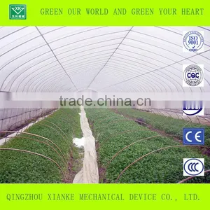 Big Cheep Glass Greenhouse for Seeding thumbnail-2