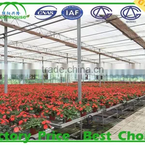 One Stop Grande Greenhouse Type Multi Span Plastic Film Commercial Greenhouse for Sale thumbnail-2