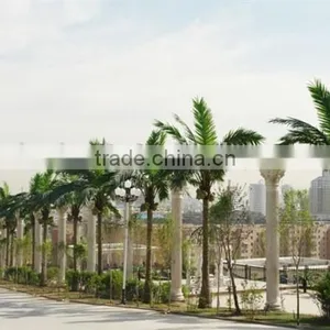 Home Garden Edging Decorative 5ft to 16ft Height Outdoor Artificial Green Plastic Palm Trees EDS06 0815 thumbnail-5