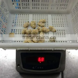 Mix of Seafood thumbnail-4