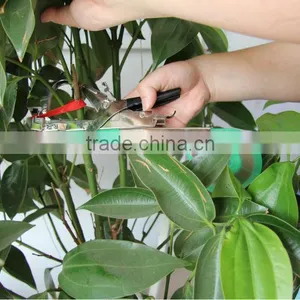 Waterproof Non-adhesive Garden Plastic Plant Binding Tapes thumbnail-1