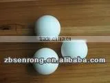 Plastic PTFE Ball thumbnail-1