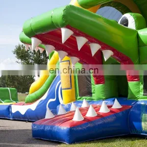 HI Hot Sale!! Animal Themed Inflatable Long Water Slide, Grass Pool Bouncer Sldie thumbnail-2