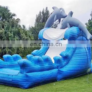 Inflatable Dolphin Dry & Wet Slide, Inflatable Water Slide thumbnail-1