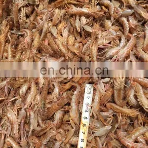 FROZEN MUD SHRIMP WHOLE ROUND thumbnail-5