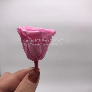 Wholesale3-4cm Elegant Real Touch Preserved Rose Flower thumbnail-1