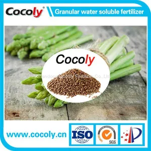 Cocoly NPK Water Soluble Fertilzier Granular+Te NPK Fertilizer thumbnail-1
