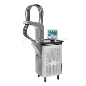 1060 nm Laser Lipo Laser Slimming Machine SculpSure Laser Fat Burning Machine thumbnail-4