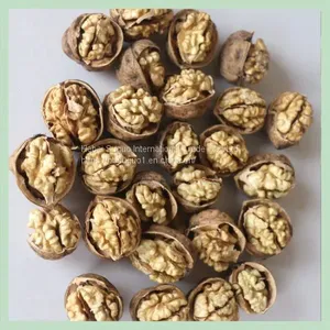 Walnut/ Dry Walnut / Kernel / Snack Food/ Agro Food/ Snack Food/Raw Walnut thumbnail-1