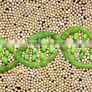 Chinese Soybean thumbnail-1
