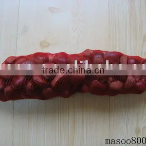 Chestnut thumbnail-1