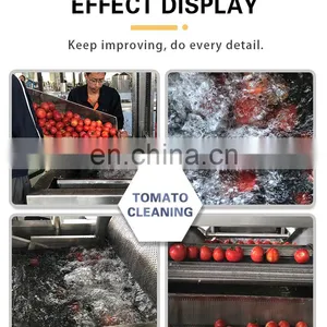 Industrial Small Air Bubble Fruit And Vegetable Basket Washing Machine thumbnail-4