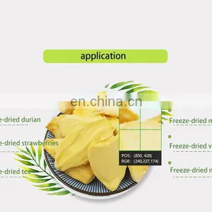 Industry Fruit and Vegetable Food Lyophilizer Machine Price thumbnail-5