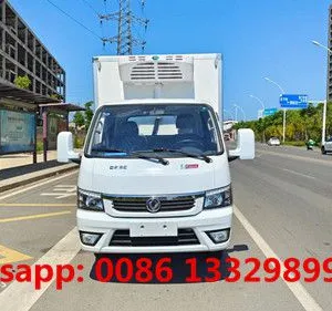 Customized Dongfeng Tuyi 4*2 LHD Petrol Engine Mini Refrigerated Van Truck for Sale 0.5T-1T thumbnail-3
