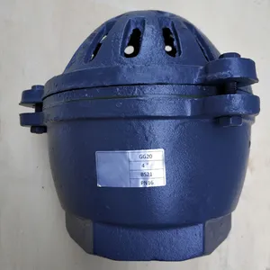 Heavy Duty BS Flanged Foot Valve Bottom Valve for Well & Tank thumbnail-4