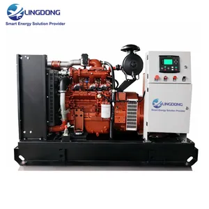 Factory Supply 62.5kVA Biogas Generator Set Price 50kW Genset Yuchai YC4D90N-D30 Engine Open Type Biogas Generator for Home Use thumbnail-1