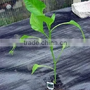 Nonwoven Landscape Ground Cover Wholesale thumbnail-5