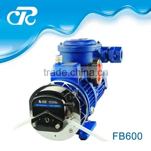 Explosion-proof Peristaltic Pump thumbnail-1