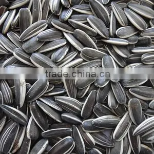 Inner Mongolia Sunflower Seeds 5009 thumbnail-2