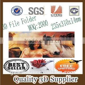 Guangzhou Lifeng 3d File Folder With Bueatiful Flowers and Birds thumbnail-1