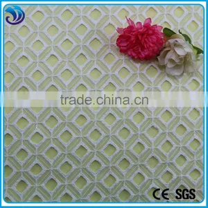 Hot Sale Polyester Organza Lace Holes Embroidery Fabric for Girl's Dresses thumbnail-1