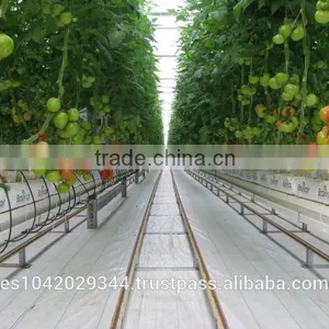 Versatile Tropical Greenhouses for NFT, Hydroponics and Drip Irrigation thumbnail-3