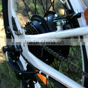 Mini,20 Inch Front Wheel Hub Motor 350 Watt Electric Bike Conversion Kit 36v Battery thumbnail-5