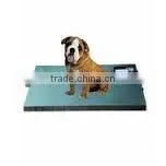 Pet Weighing Scales thumbnail-1