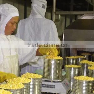 2015 Fresh Made A9 Canned Sweet Corn thumbnail-3